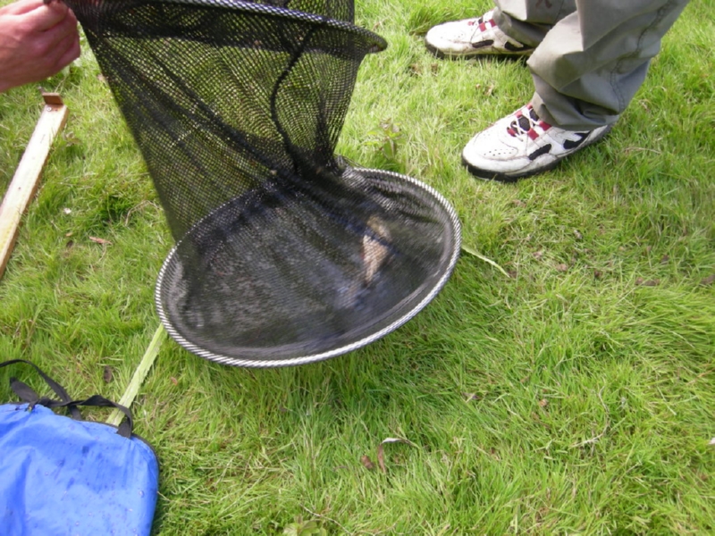 Lith 2008 (134)
